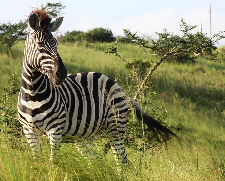 Rain Farm Game Lodge Umhlali ภายนอก รูปภาพ