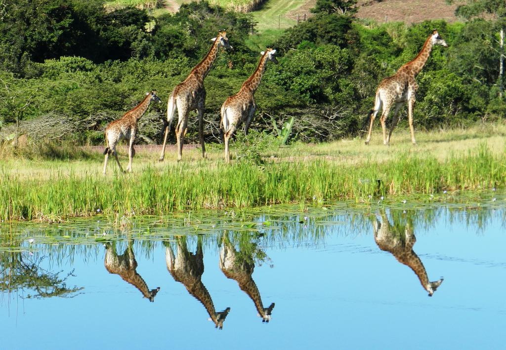Rain Farm Game Lodge Umhlali ภายนอก รูปภาพ
